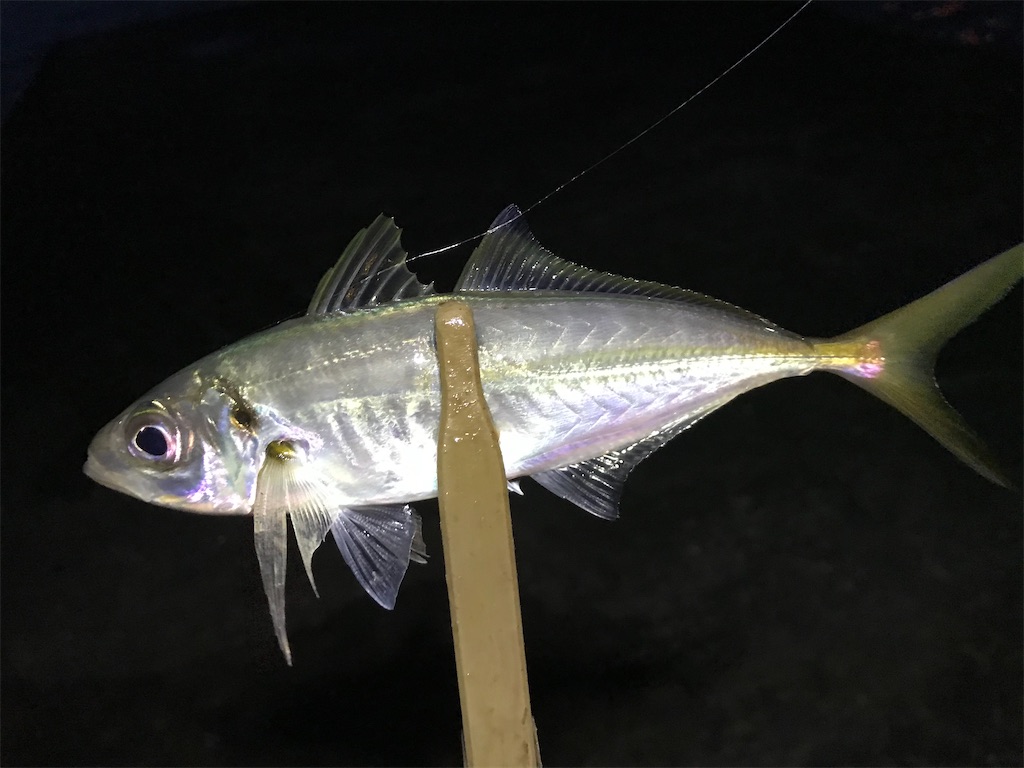 f:id:esojima3:20200125081028j:image