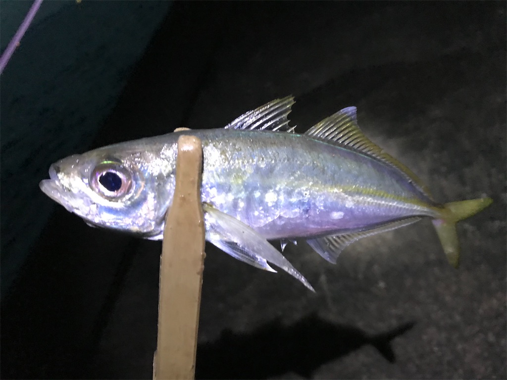 f:id:esojima3:20200125081117j:image