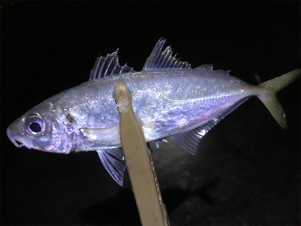 f:id:esojima3:20200125082629j:image