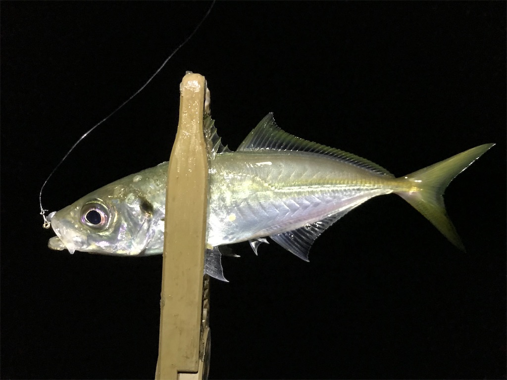 f:id:esojima3:20200125185554j:image
