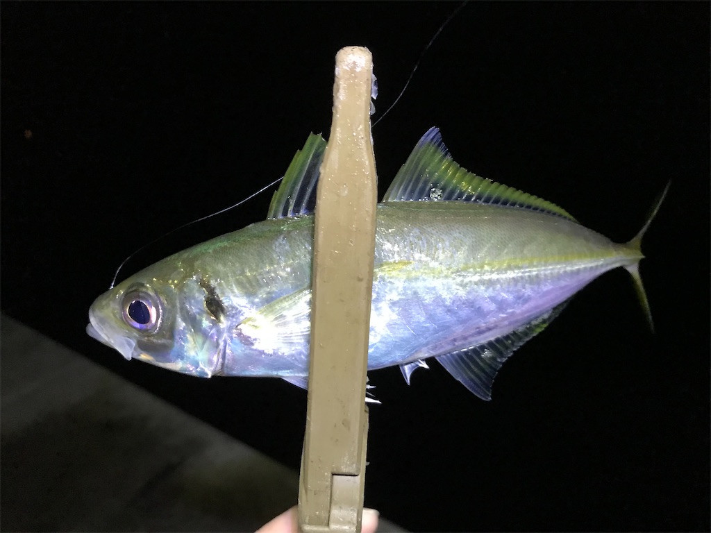 f:id:esojima3:20200125185559j:image