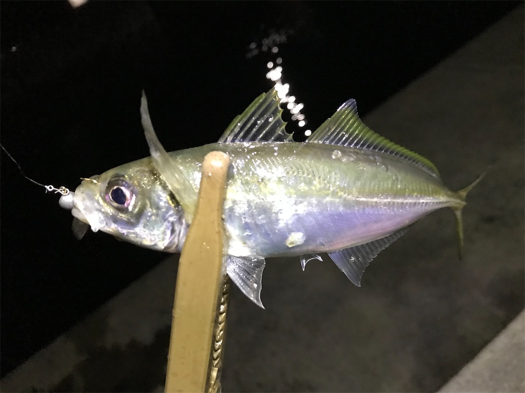 f:id:esojima3:20200125185603j:image
