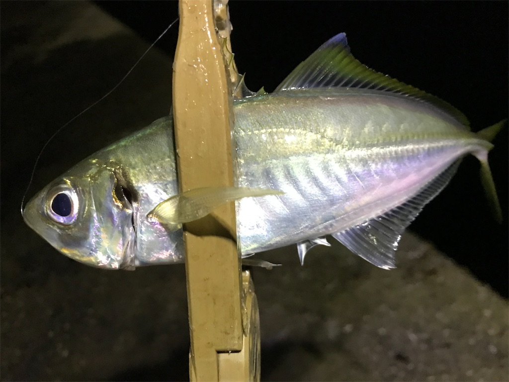 f:id:esojima3:20200125185607j:image
