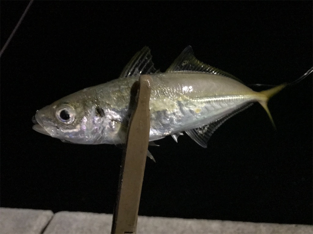 f:id:esojima3:20200125185613j:image