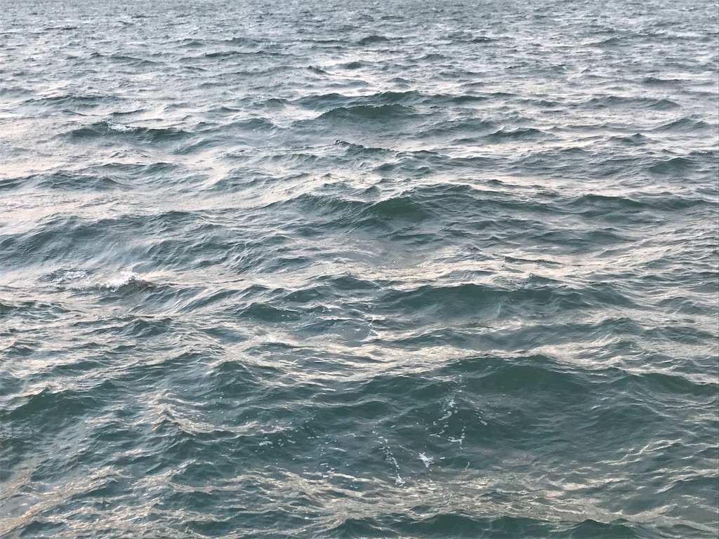 f:id:esojima3:20200128201815j:image
