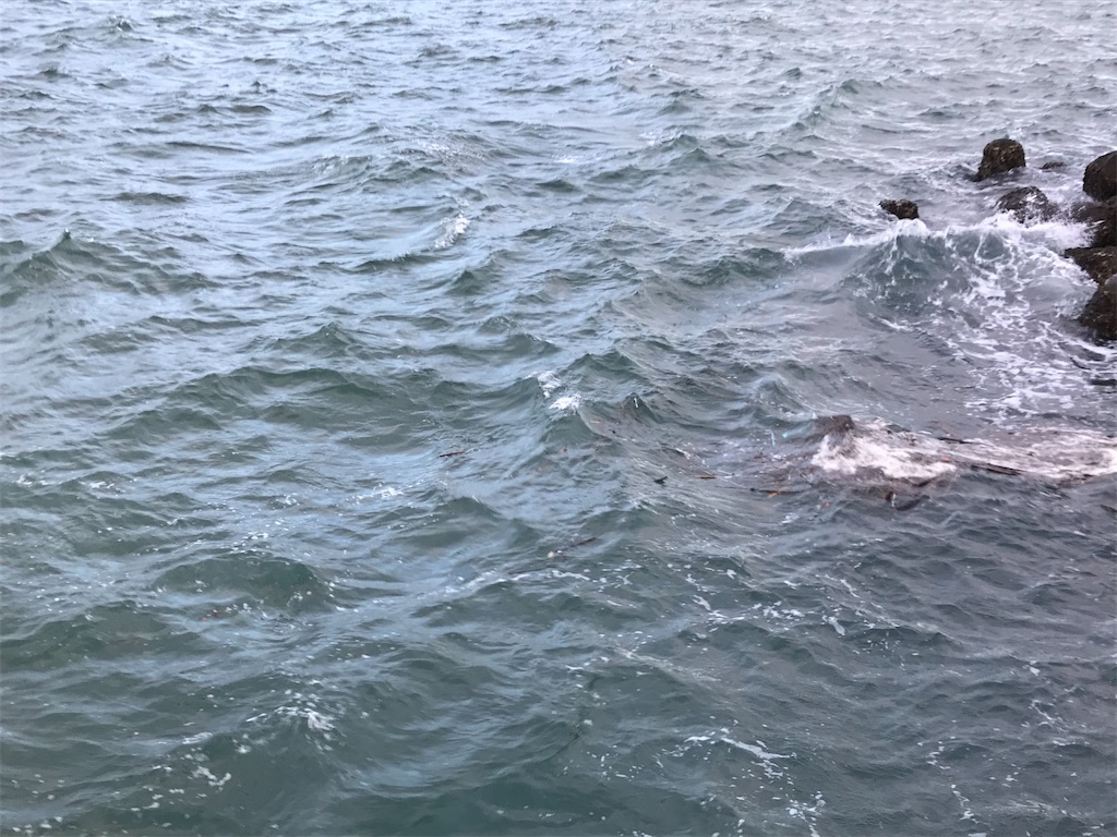 f:id:esojima3:20200128201820j:image