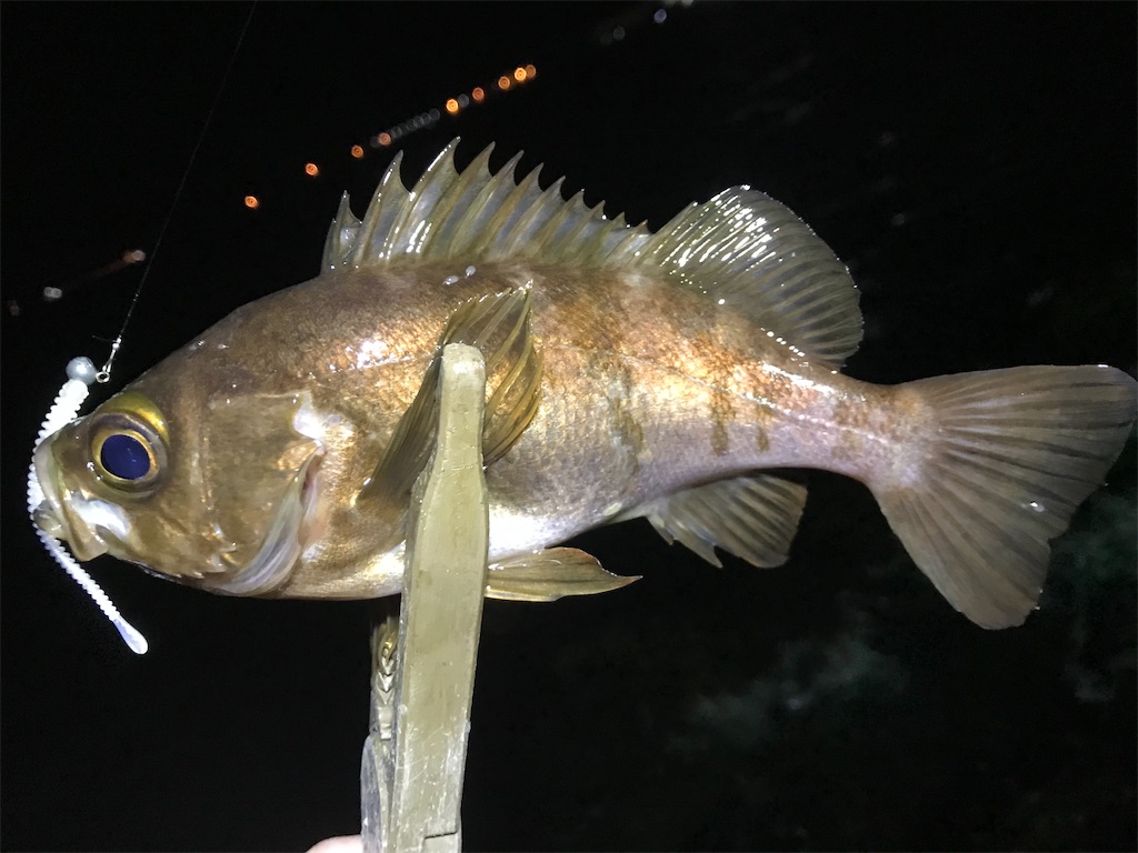f:id:esojima3:20200129231940j:image f:id:esojima3:20200129231940j:image