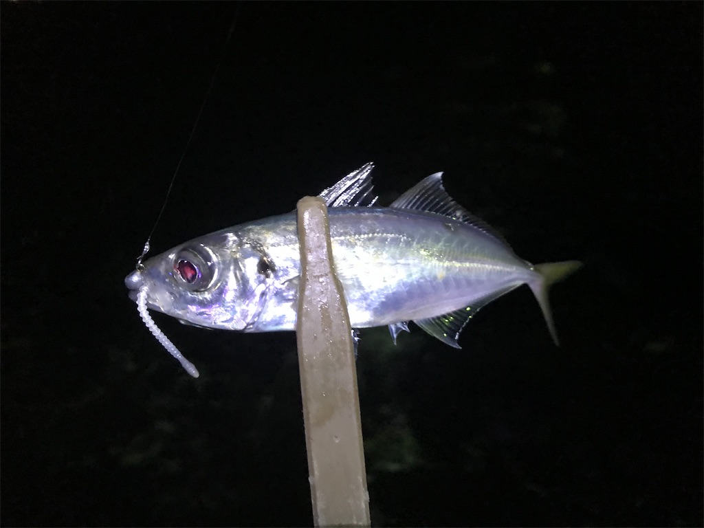 f:id:esojima3:20200129232046j:image f:id:esojima3:20200129232046j:image