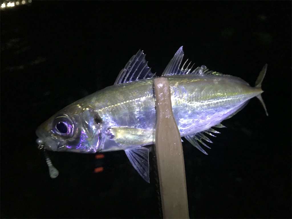 f:id:esojima3:20200129232212j:image f:id:esojima3:20200129232212j:image
