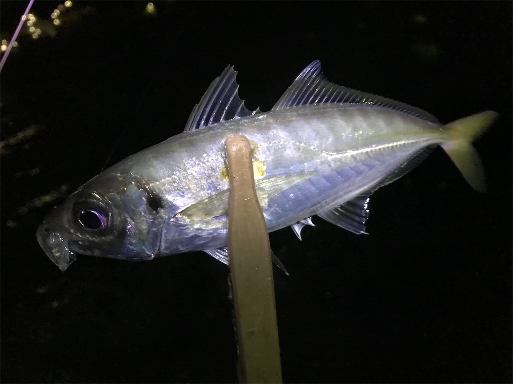 f:id:esojima3:20200129232225j:image f:id:esojima3:20200129232225j:image
