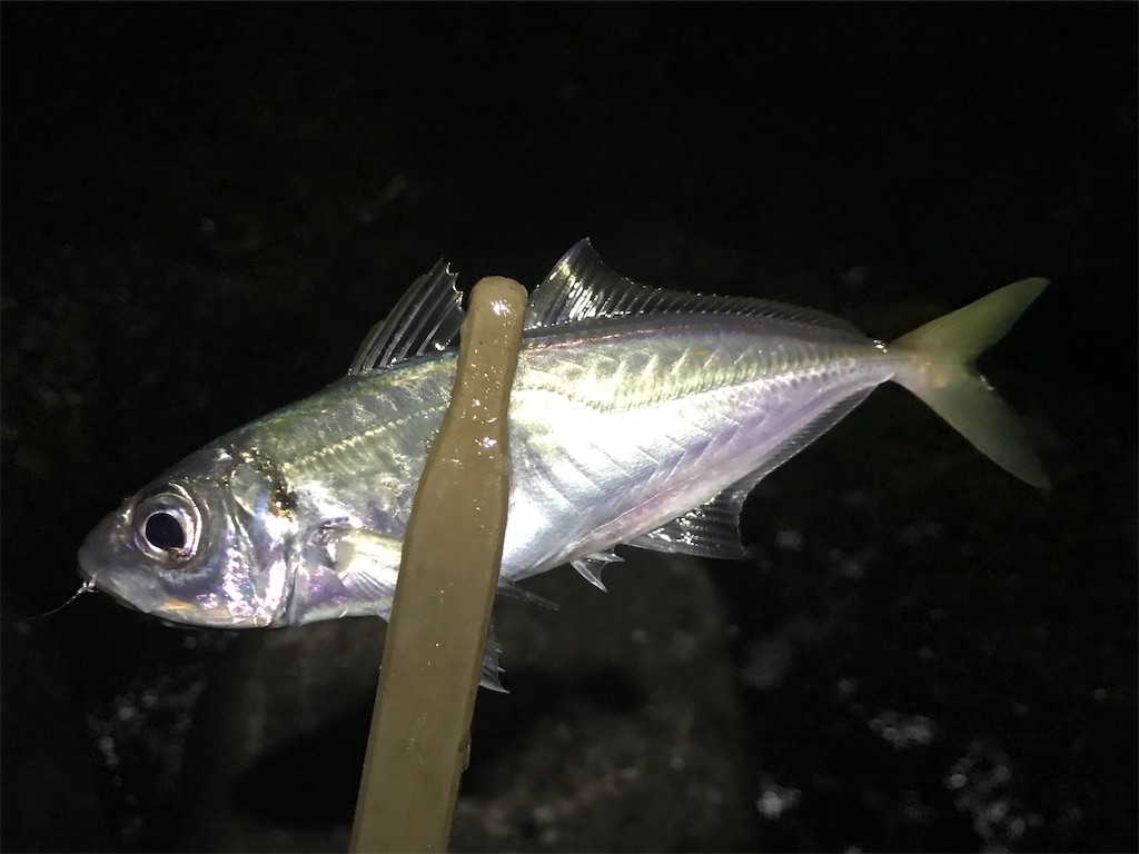 f:id:esojima3:20200129233400j:image f:id:esojima3:20200129233400j:image