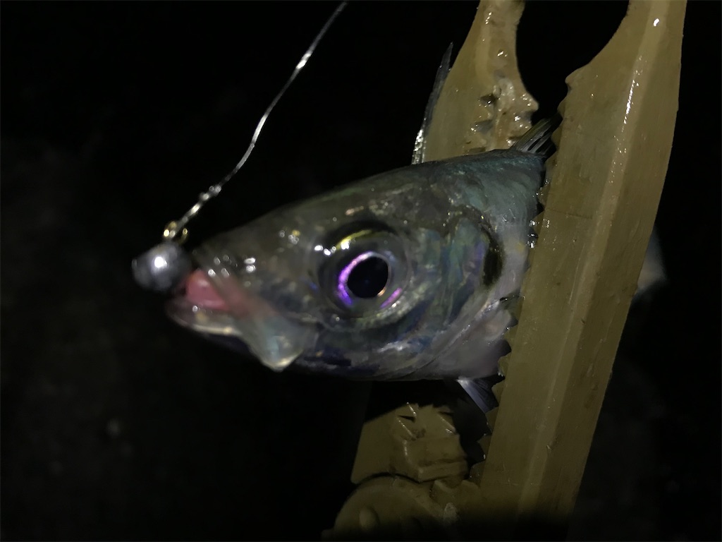 f:id:esojima3:20200129233408j:image f:id:esojima3:20200129233408j:image
