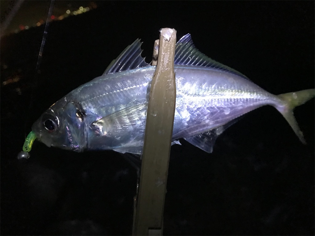 f:id:esojima3:20200129233441j:image f:id:esojima3:20200129233441j:image