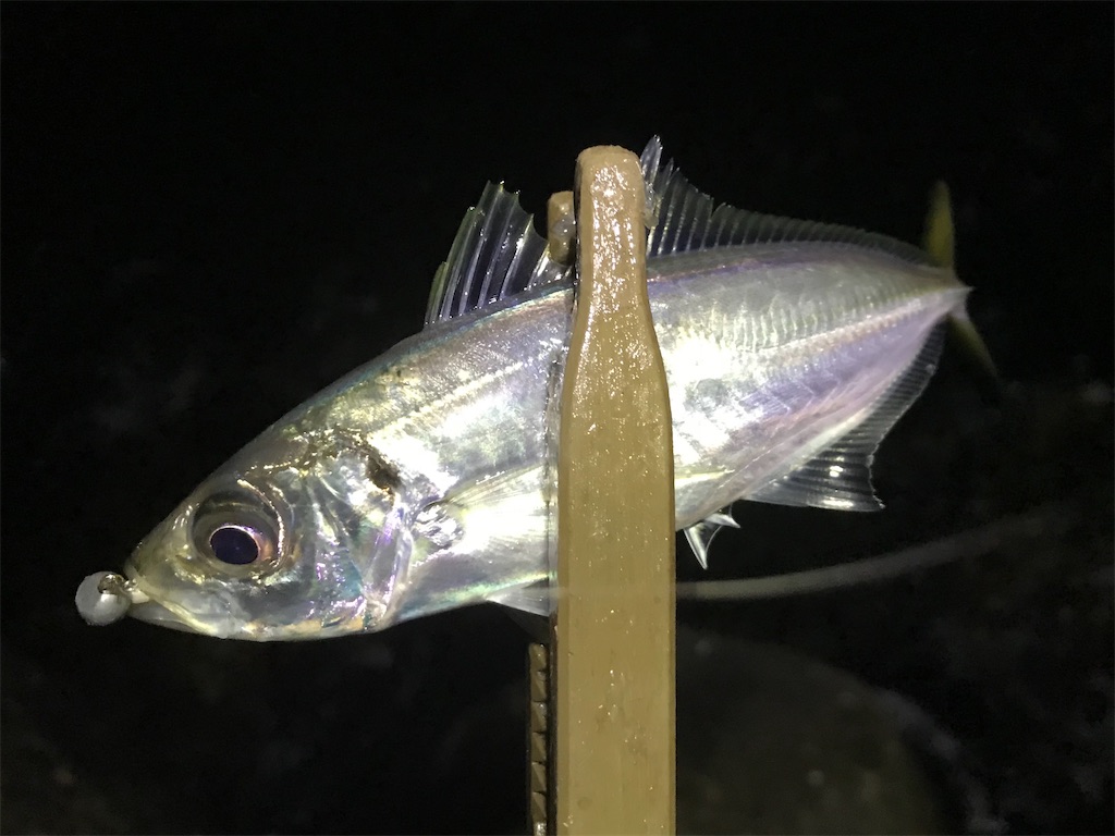 f:id:esojima3:20200129233445j:image f:id:esojima3:20200129233445j:image