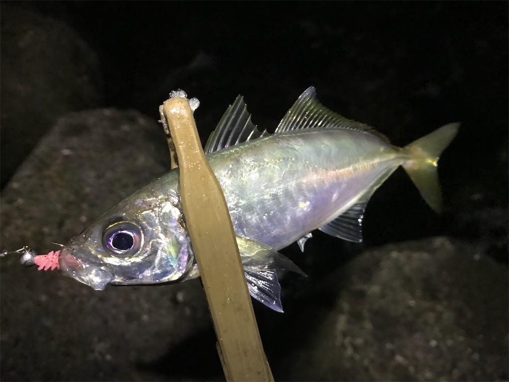 f:id:esojima3:20200129233449j:image f:id:esojima3:20200129233449j:image