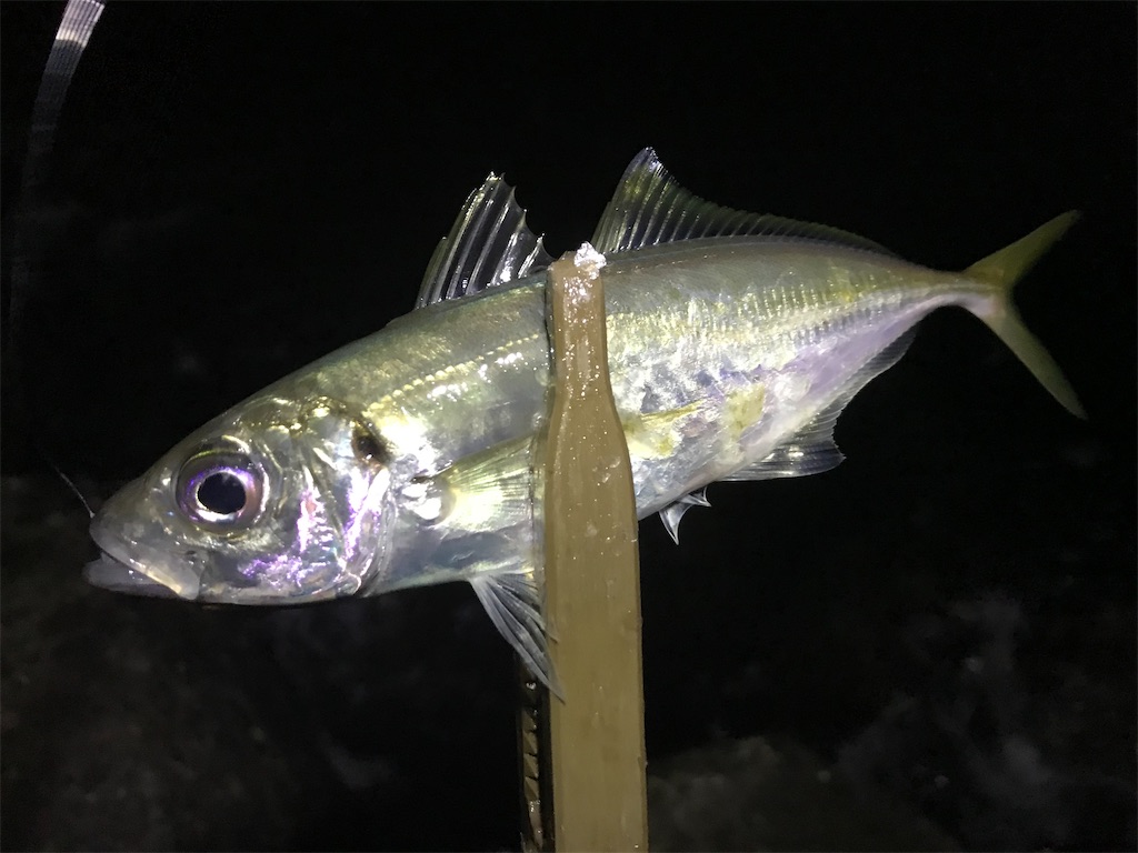 f:id:esojima3:20200129233458j:image f:id:esojima3:20200129233458j:image