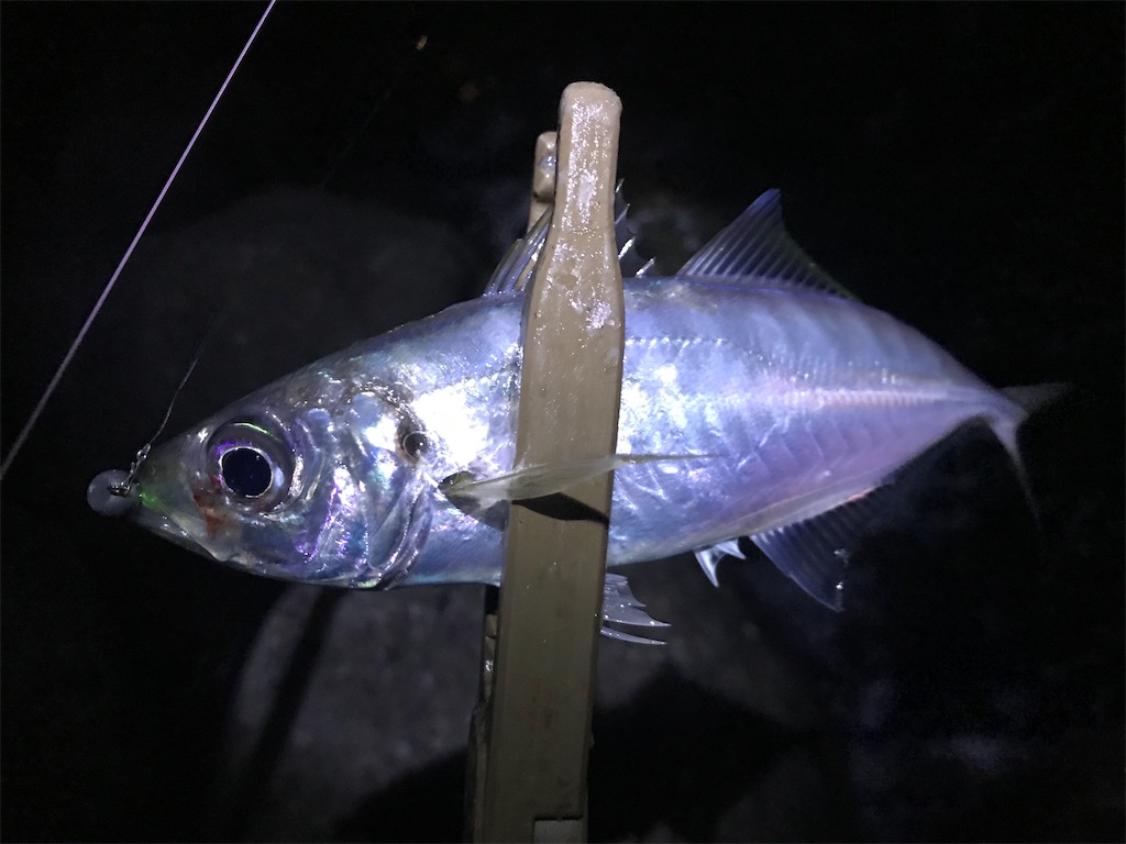 f:id:esojima3:20200129233502j:image f:id:esojima3:20200129233502j:image