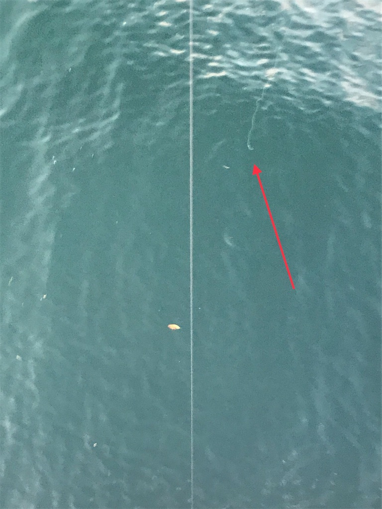 f:id:esojima3:20200201180431j:image f:id:esojima3:20200201180431j:image