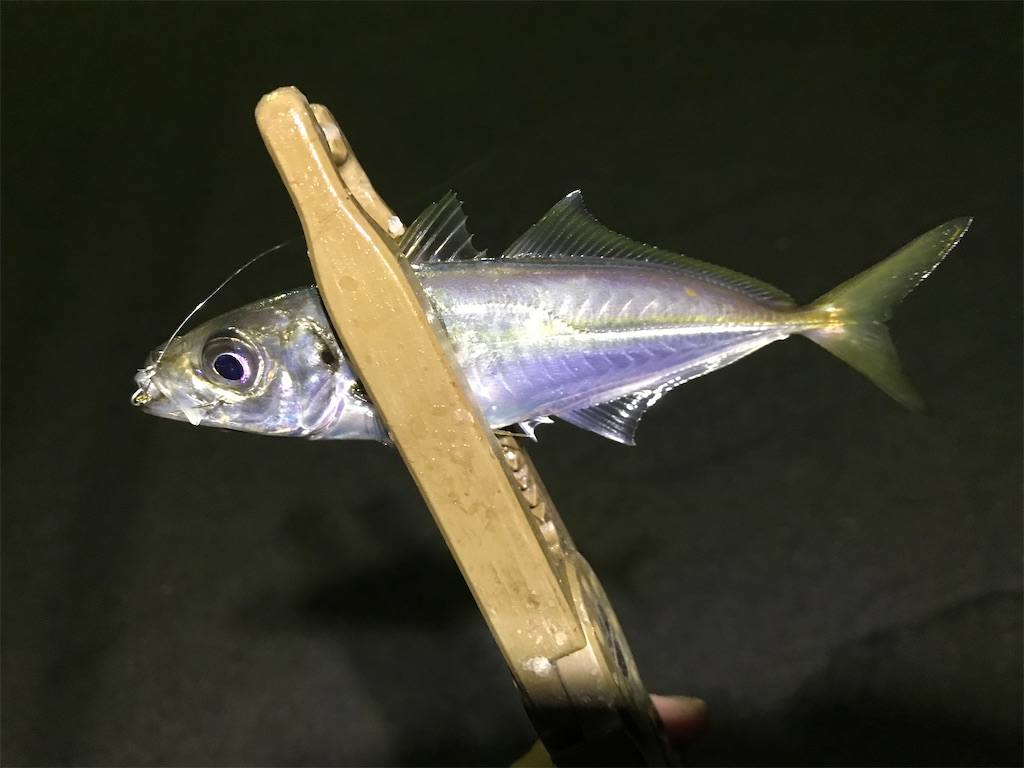 f:id:esojima3:20200202075930j:image