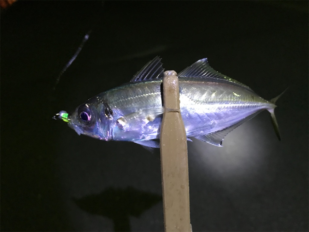 f:id:esojima3:20200202075934j:image