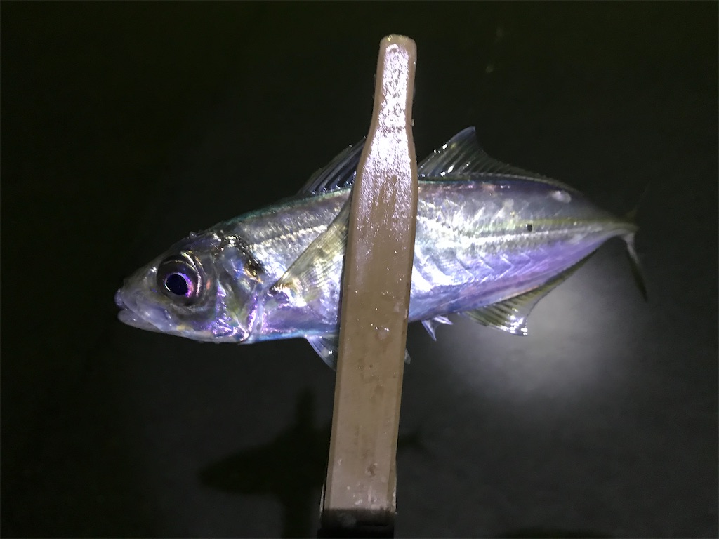 f:id:esojima3:20200202075937j:image