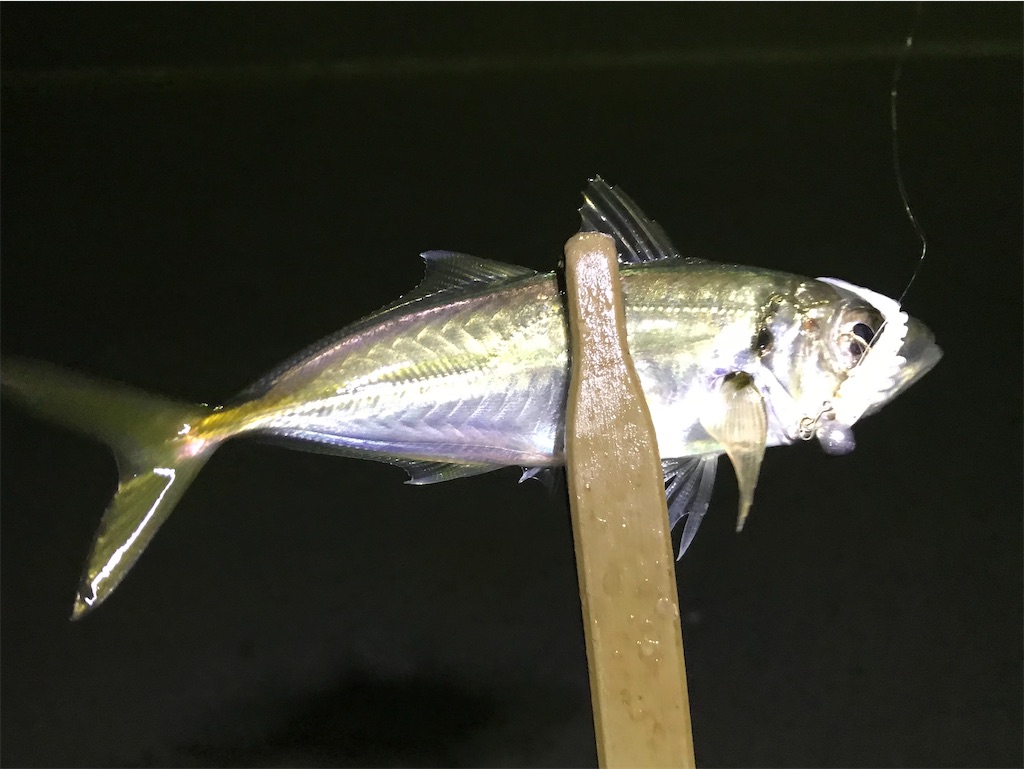 f:id:esojima3:20200202075940j:image