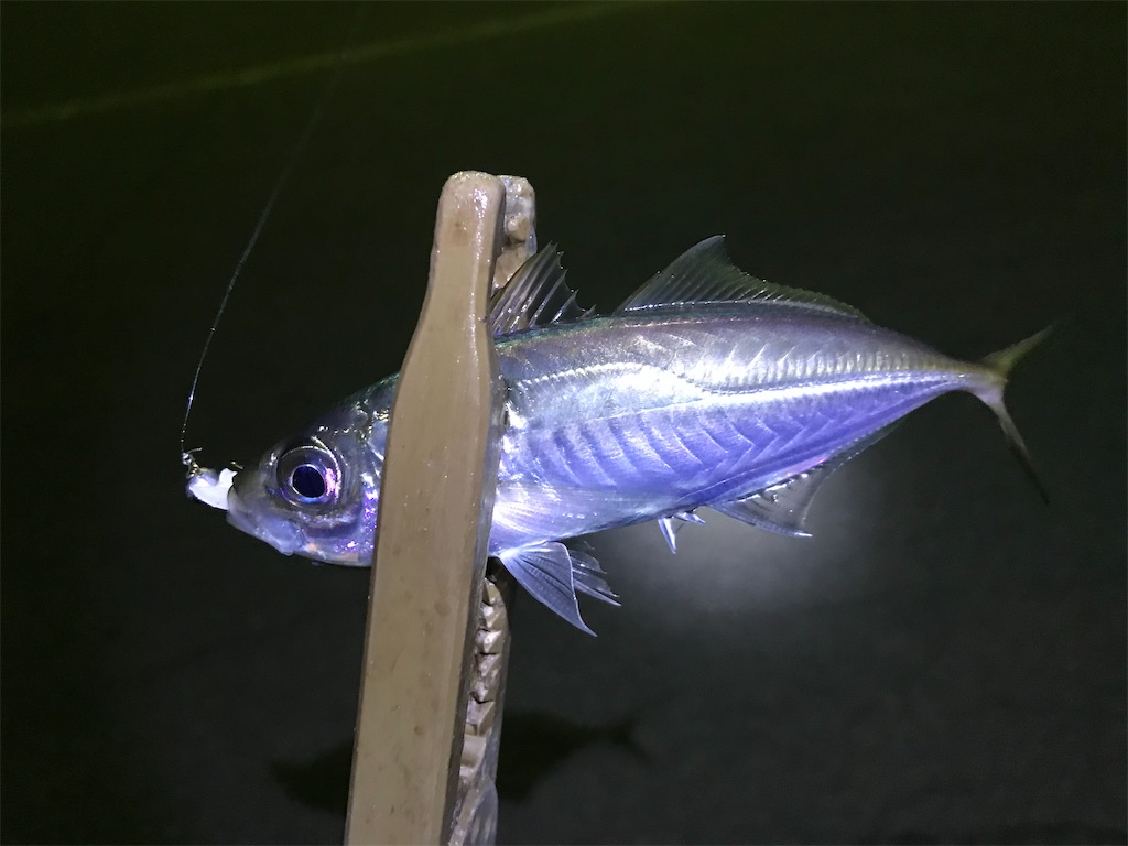 f:id:esojima3:20200202075943j:image