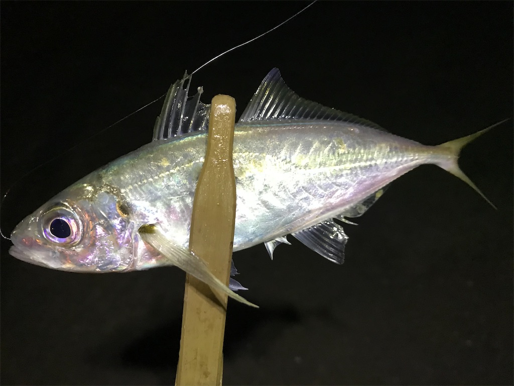 f:id:esojima3:20200202080003j:image