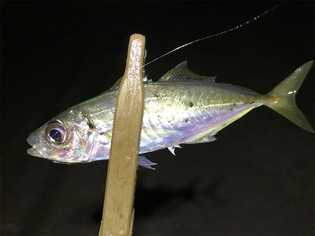 f:id:esojima3:20200202080007j:image