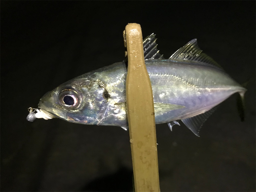 f:id:esojima3:20200202080345j:image