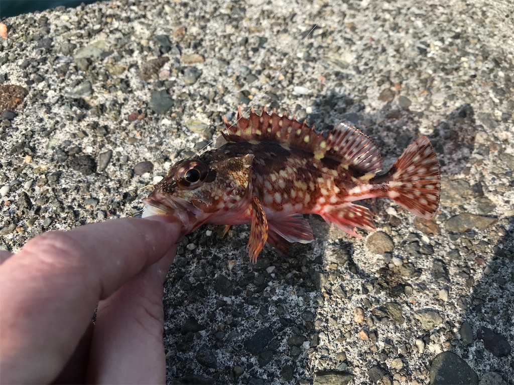 f:id:esojima3:20200202111138j:image
