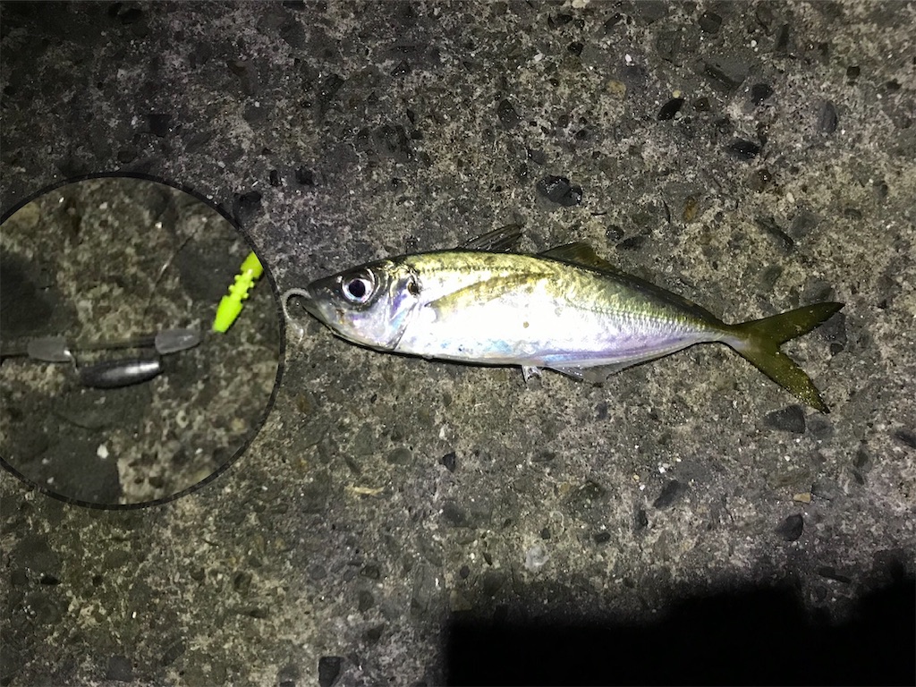 f:id:esojima3:20200213231334j:image