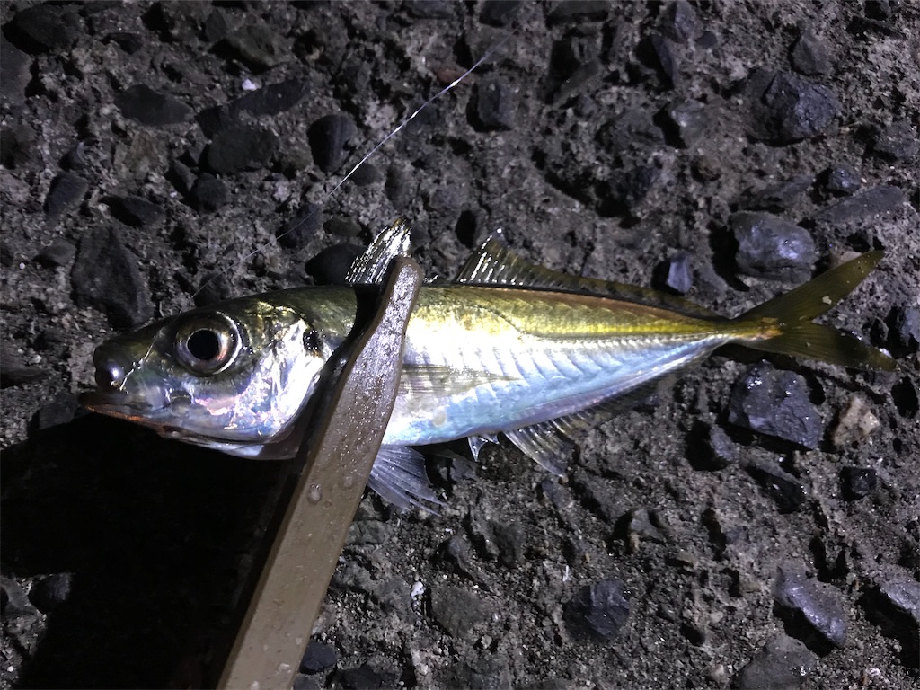 f:id:esojima3:20200213231522j:image