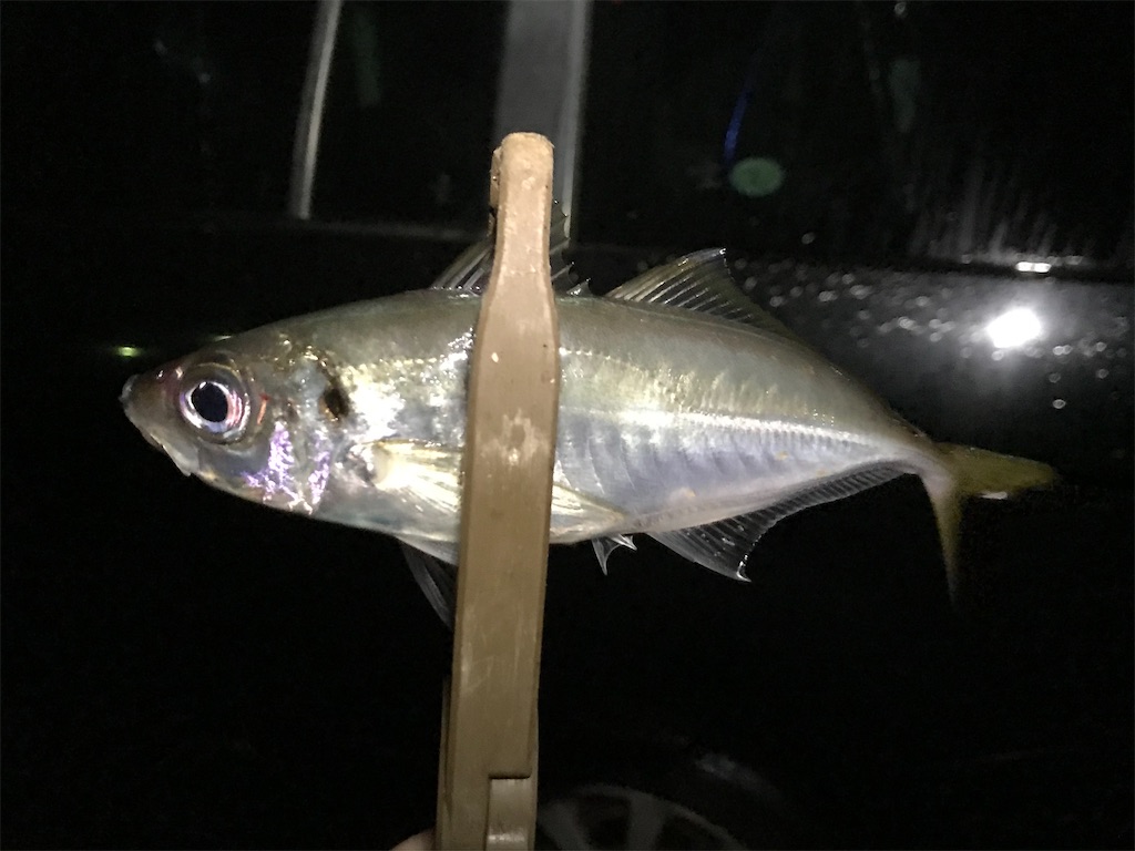 f:id:esojima3:20200301093146j:image
