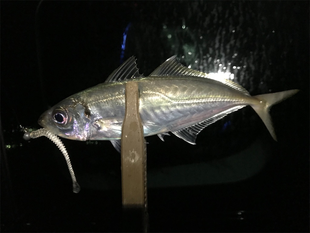 f:id:esojima3:20200301093302j:image