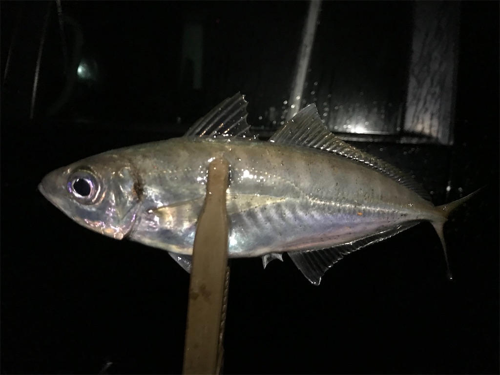 f:id:esojima3:20200301093413j:image