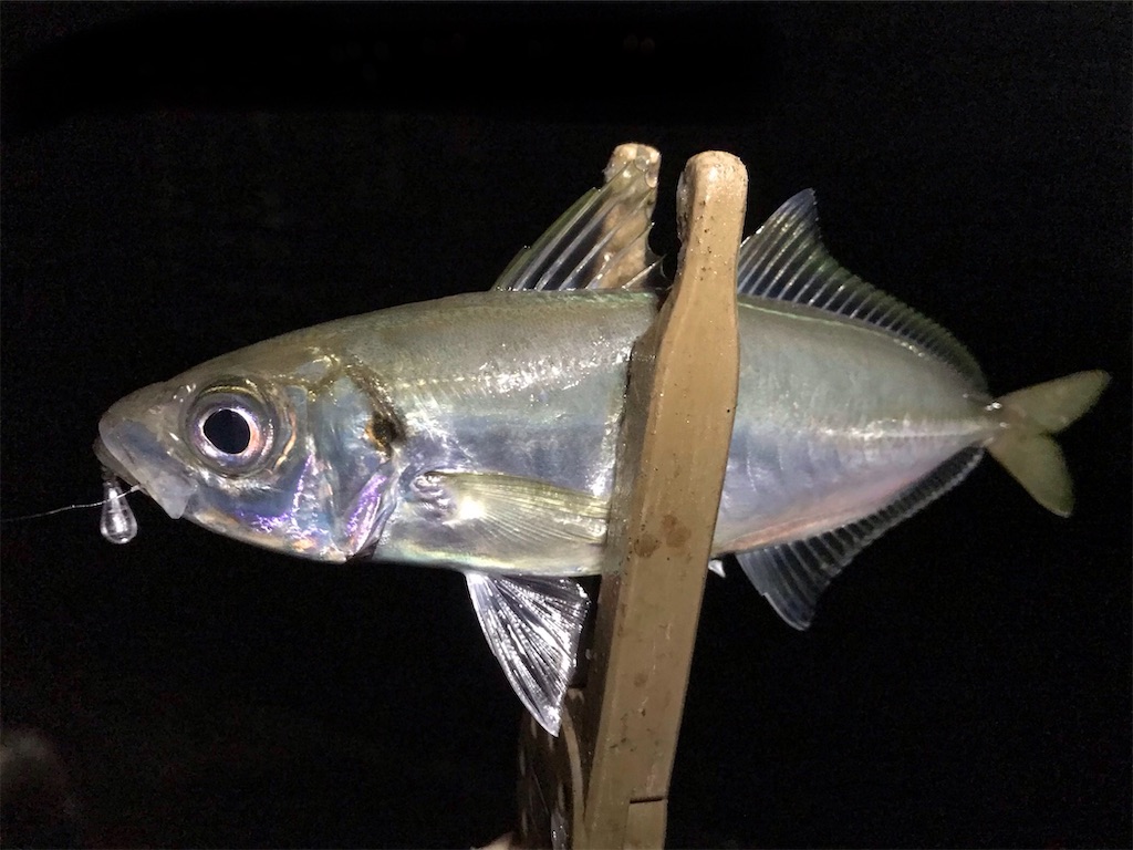 f:id:esojima3:20200301102046j:image
