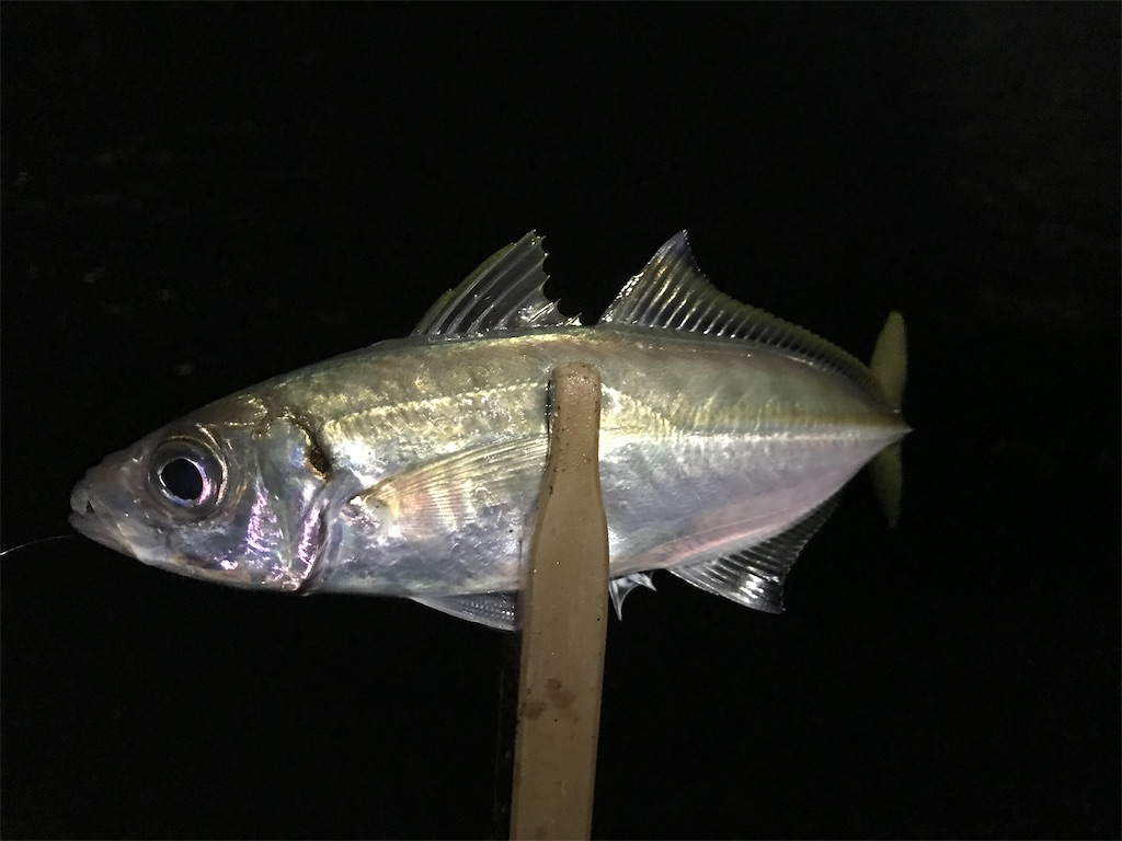f:id:esojima3:20200301102049j:image