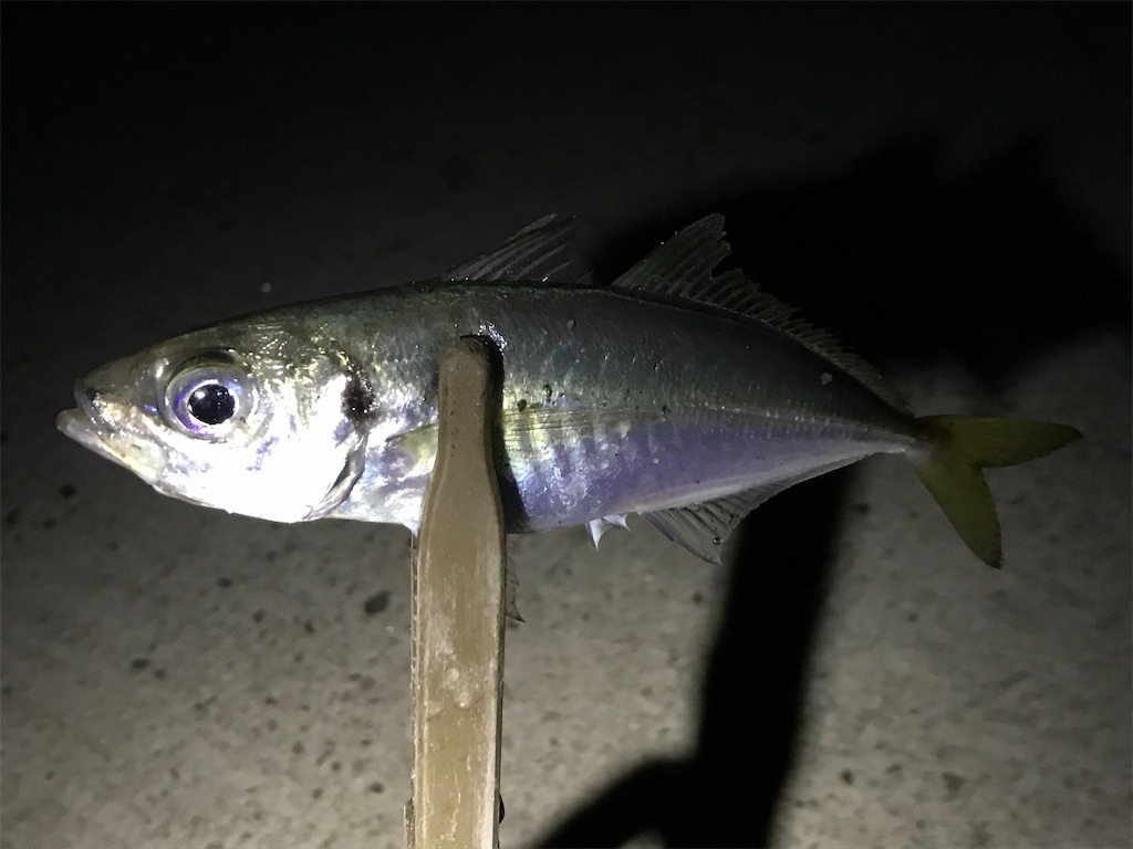 f:id:esojima3:20200307203850j:image
