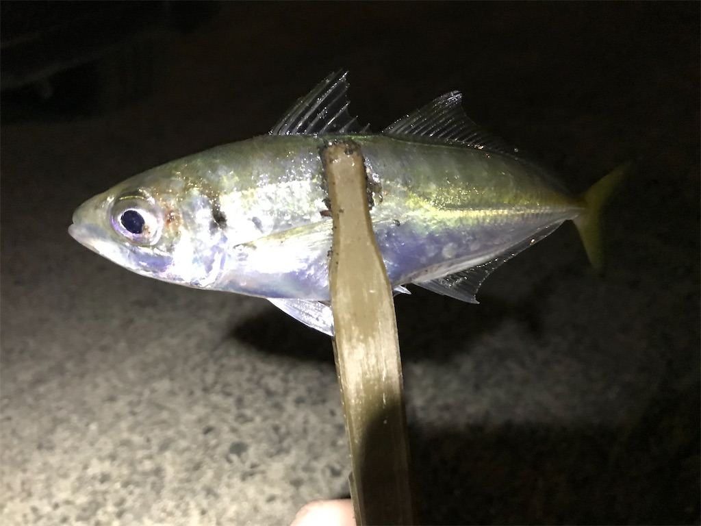 f:id:esojima3:20200307205008j:image