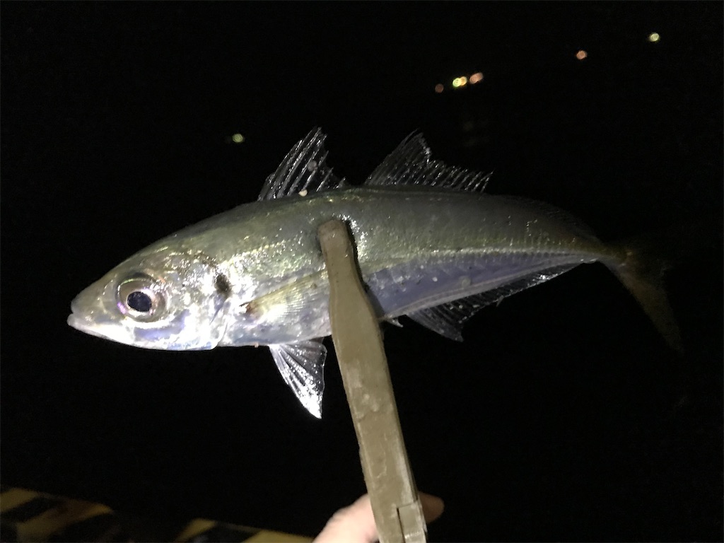 f:id:esojima3:20200307205012j:image