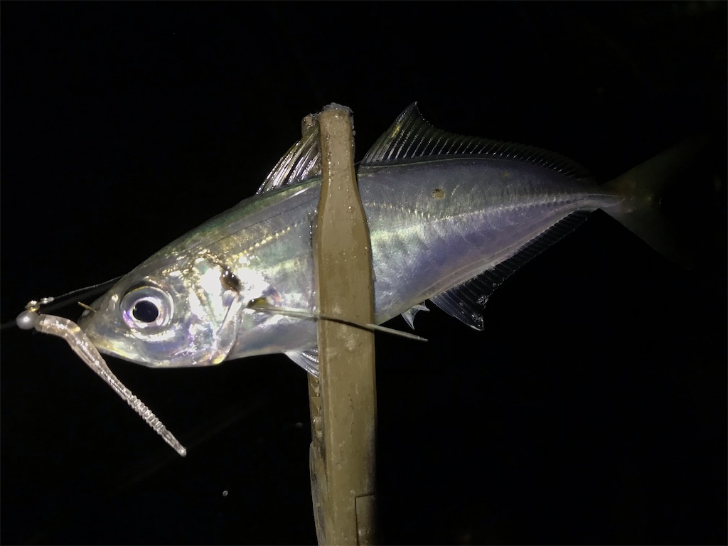 f:id:esojima3:20200307205028j:image