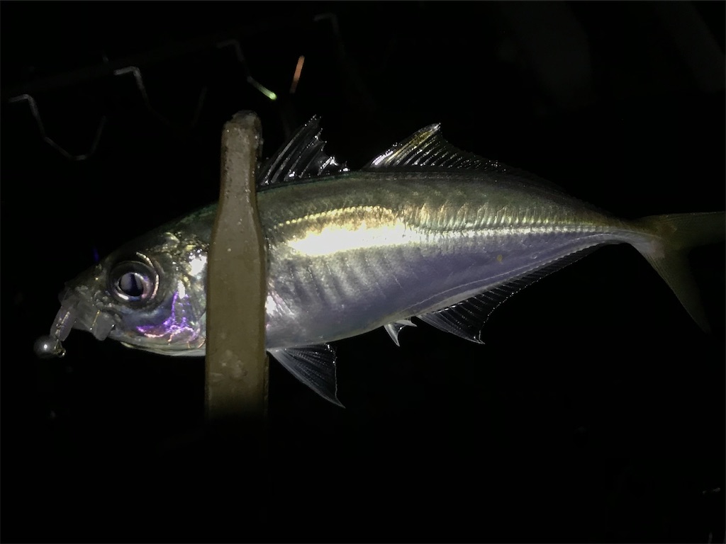 f:id:esojima3:20200307205154j:image