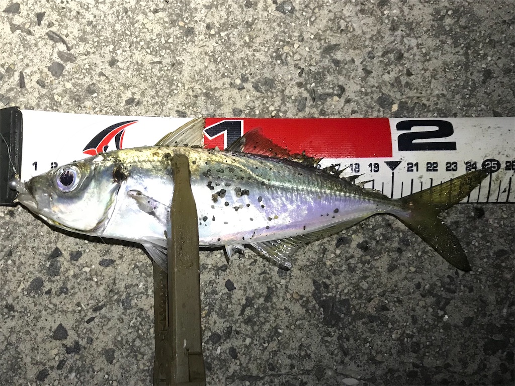 f:id:esojima3:20200307205342j:image