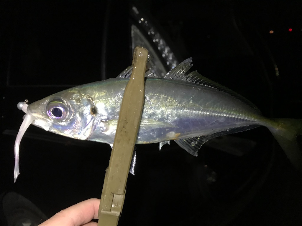 f:id:esojima3:20200307210528j:image