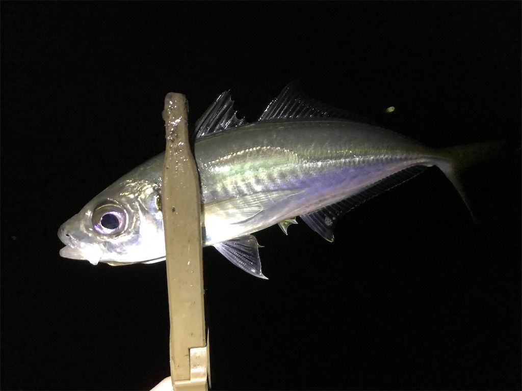 f:id:esojima3:20200307211648j:image