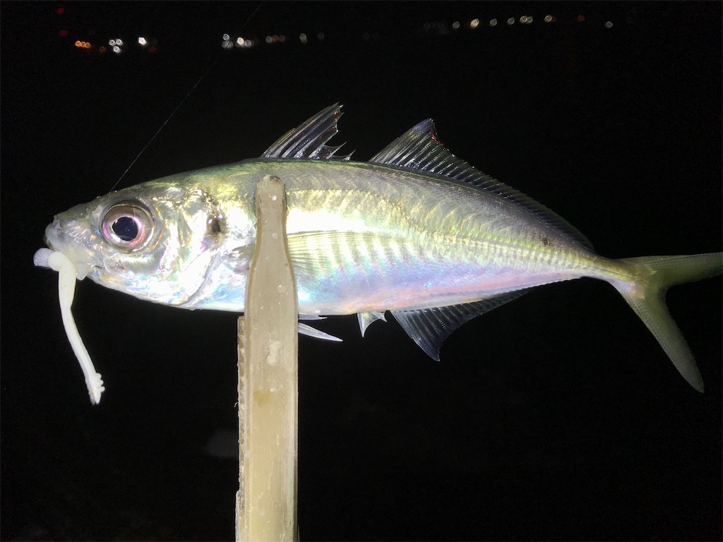 f:id:esojima3:20200312215903j:image f:id:esojima3:20200312215903j:image