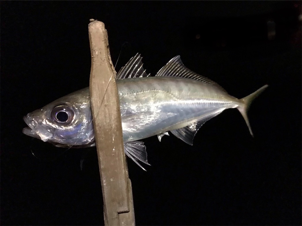 f:id:esojima3:20200314092535j:image