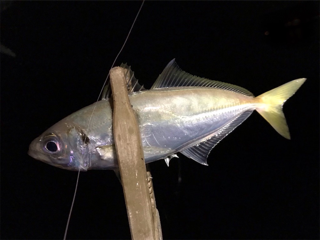 f:id:esojima3:20200314092539j:image