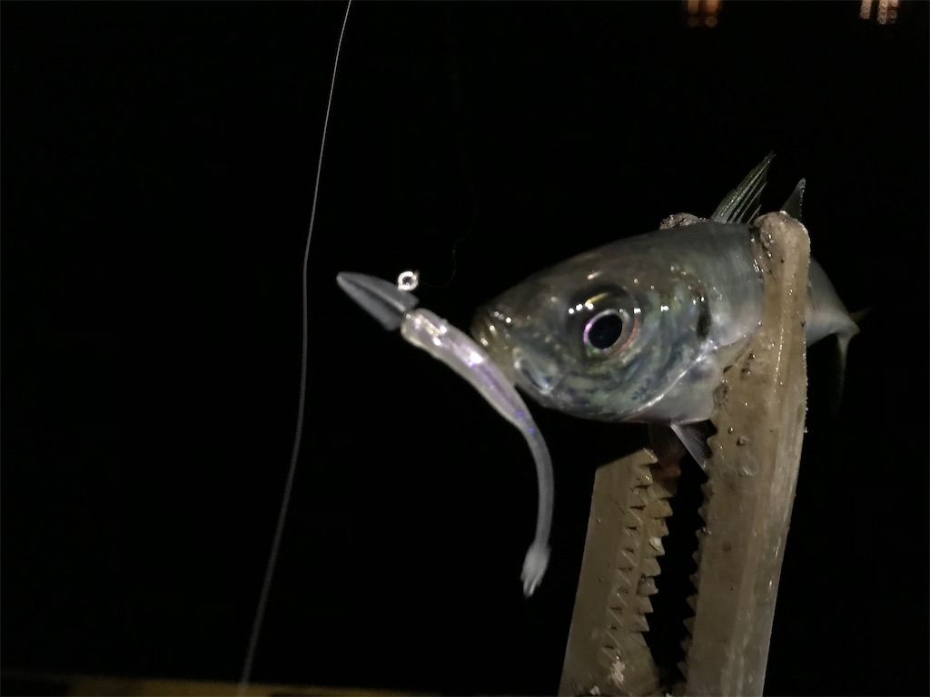 f:id:esojima3:20200314092543j:image